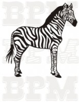 /album/ostatne-zvierata/ostatne-zvierata-1-jpg/